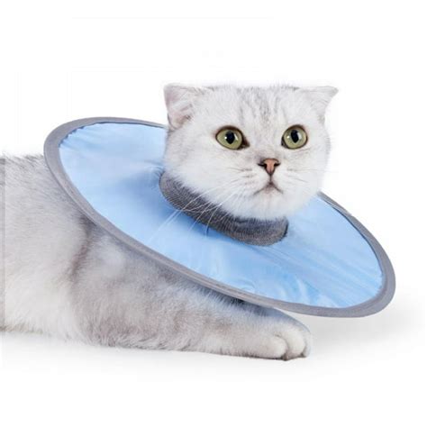 soft elizabethan collar cat|elizabethan collar with surgery.